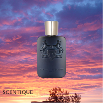 Layton EDP